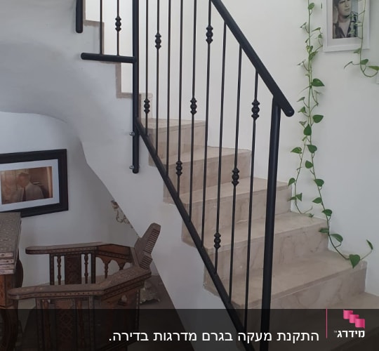 מסגרות תמונה על קיר ליד מדרגות עם צמח מטפס